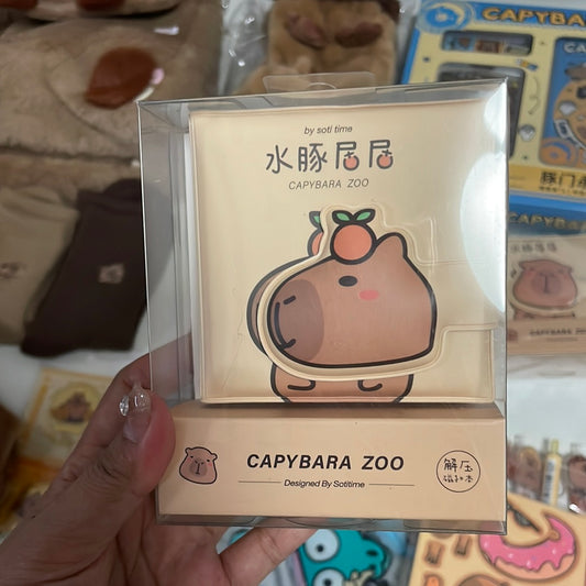 Capybara notebooks