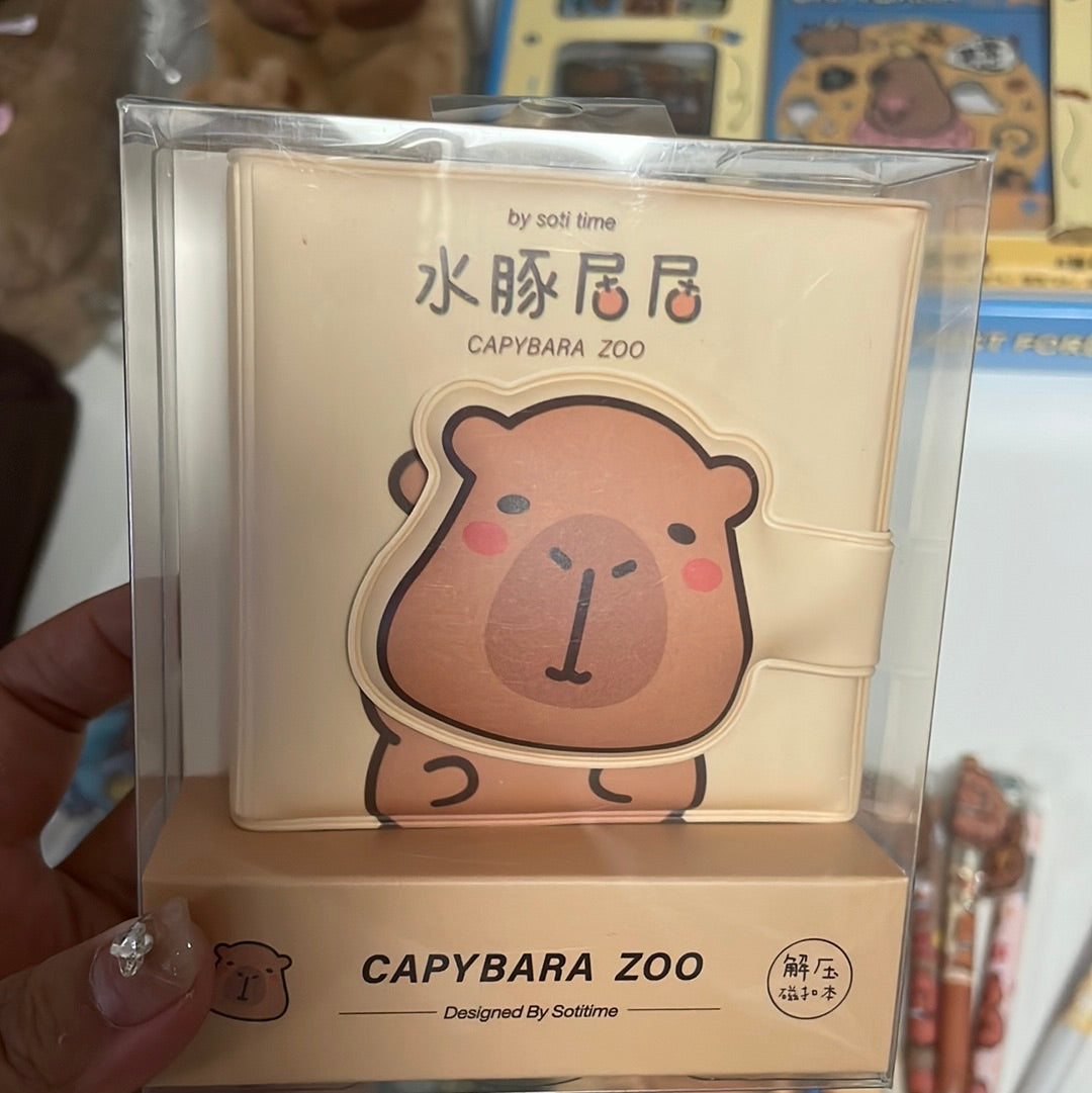 Capybara notebooks