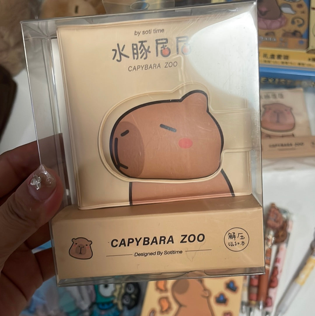 Capybara notebooks