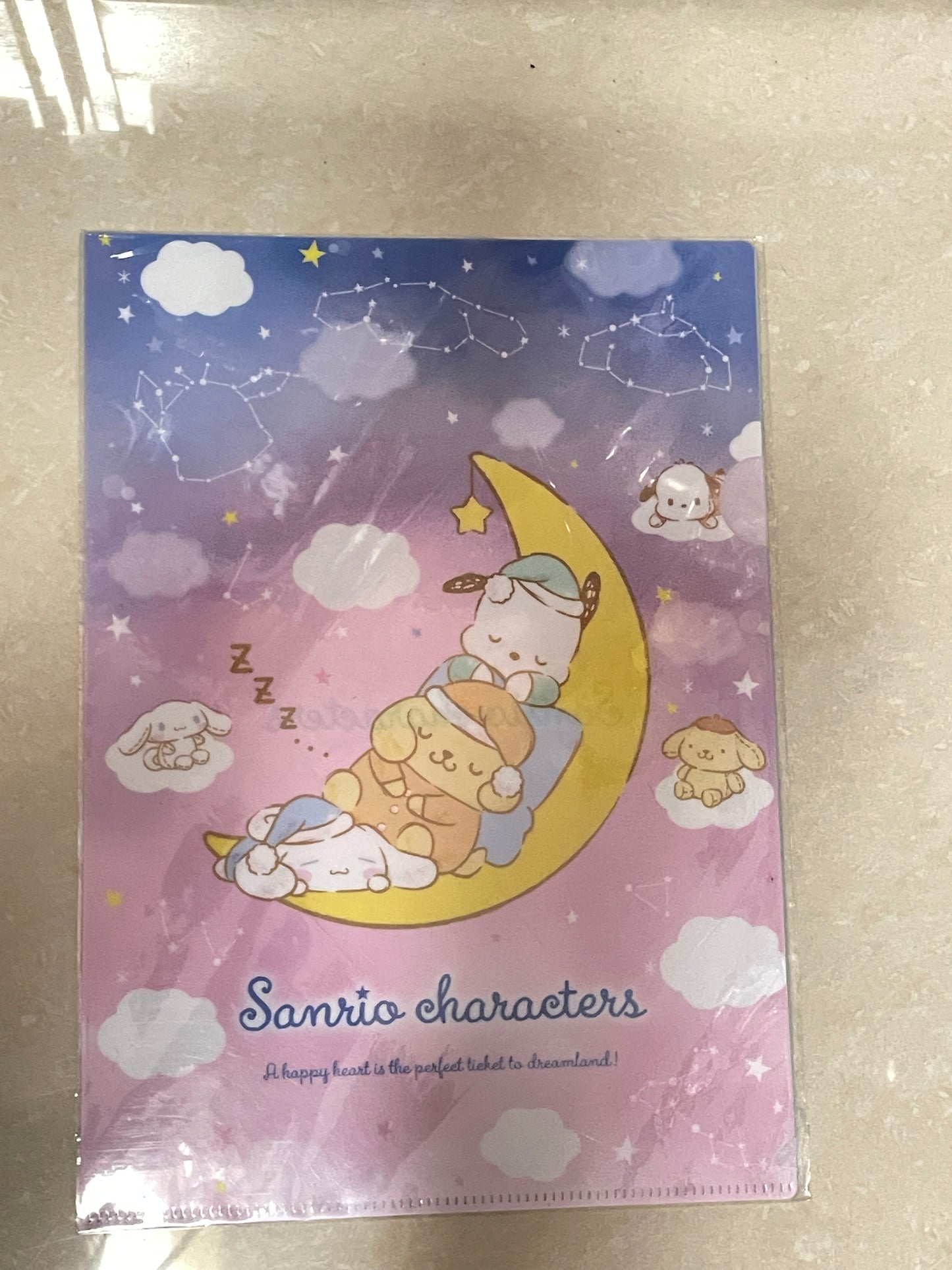 Sanrio families file folder