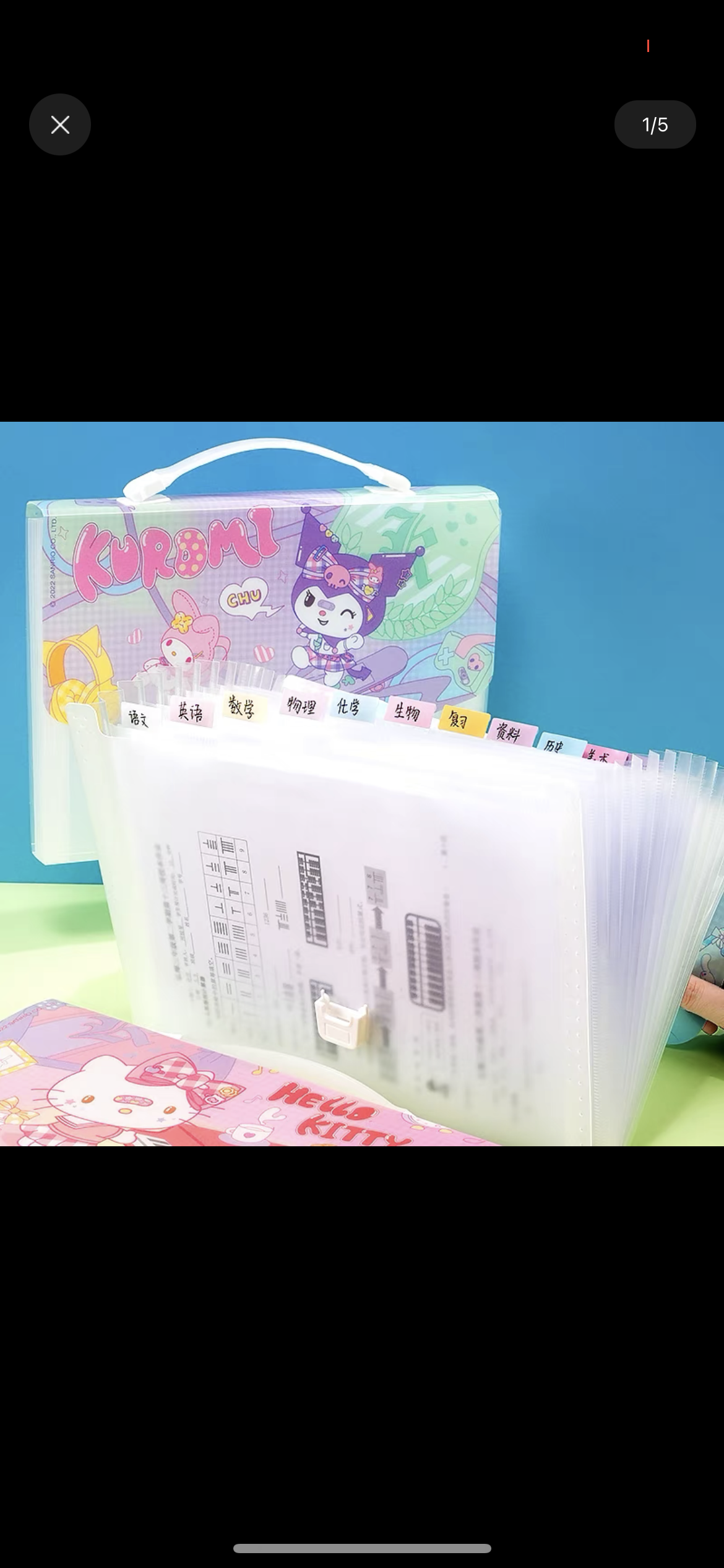 Sanrio file case