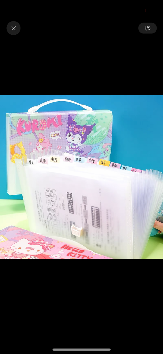 Sanrio file case