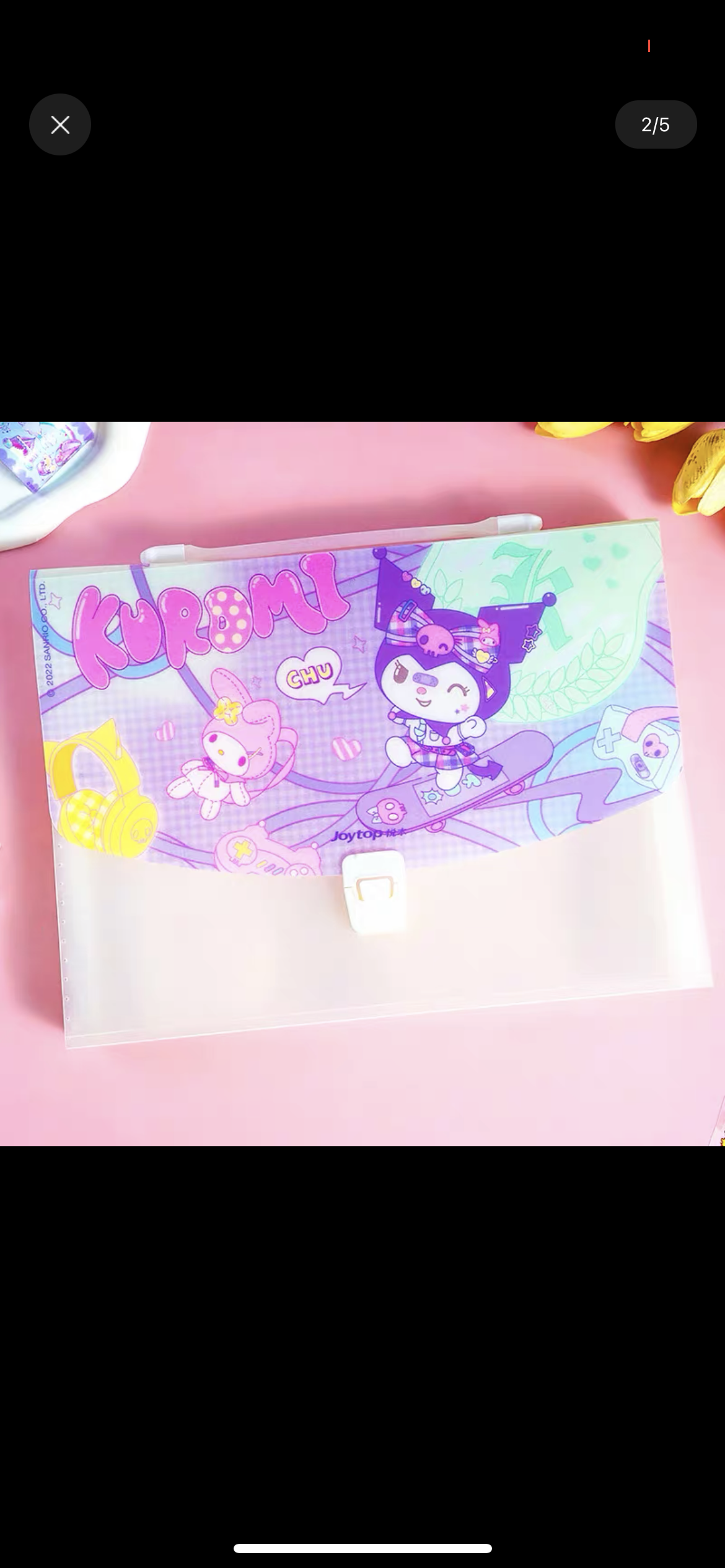 Sanrio file case