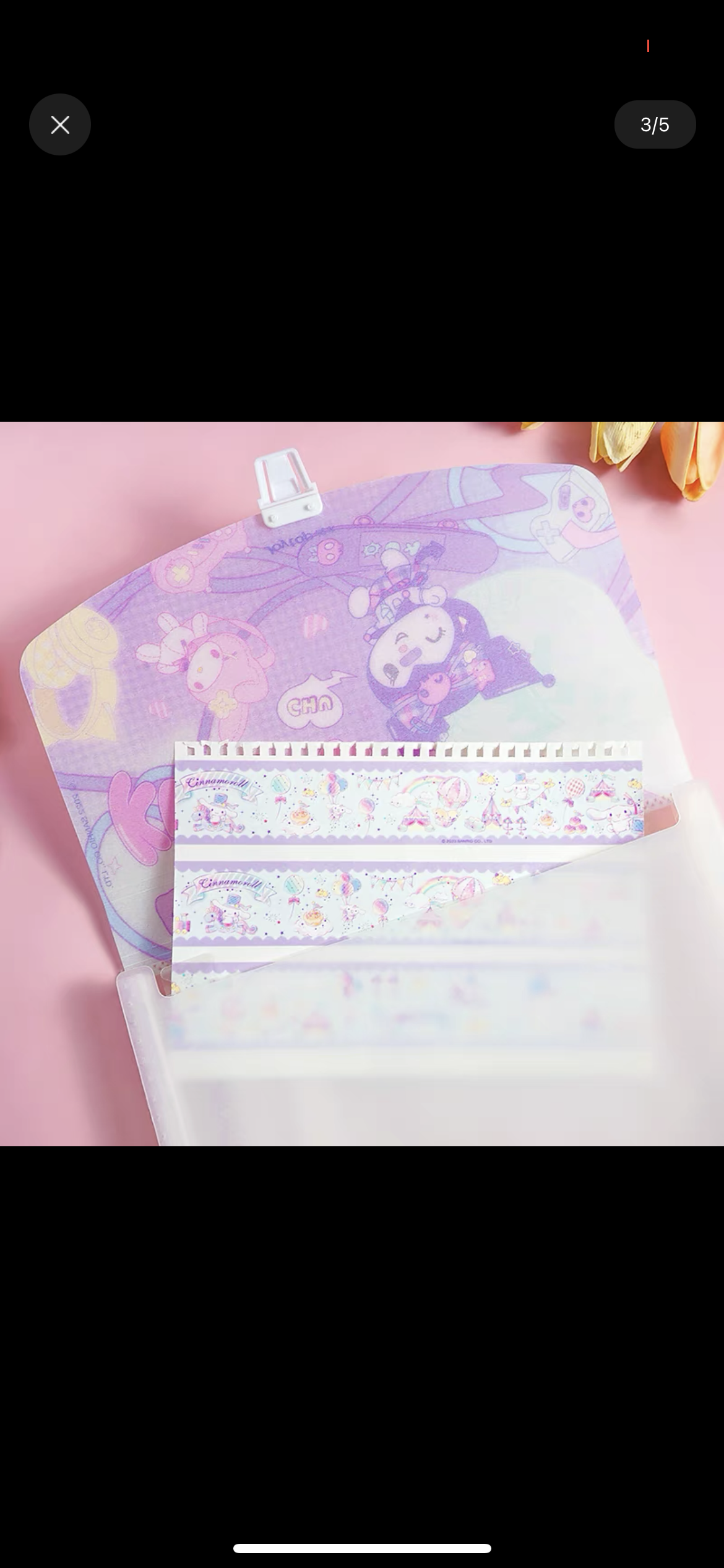 Sanrio file case