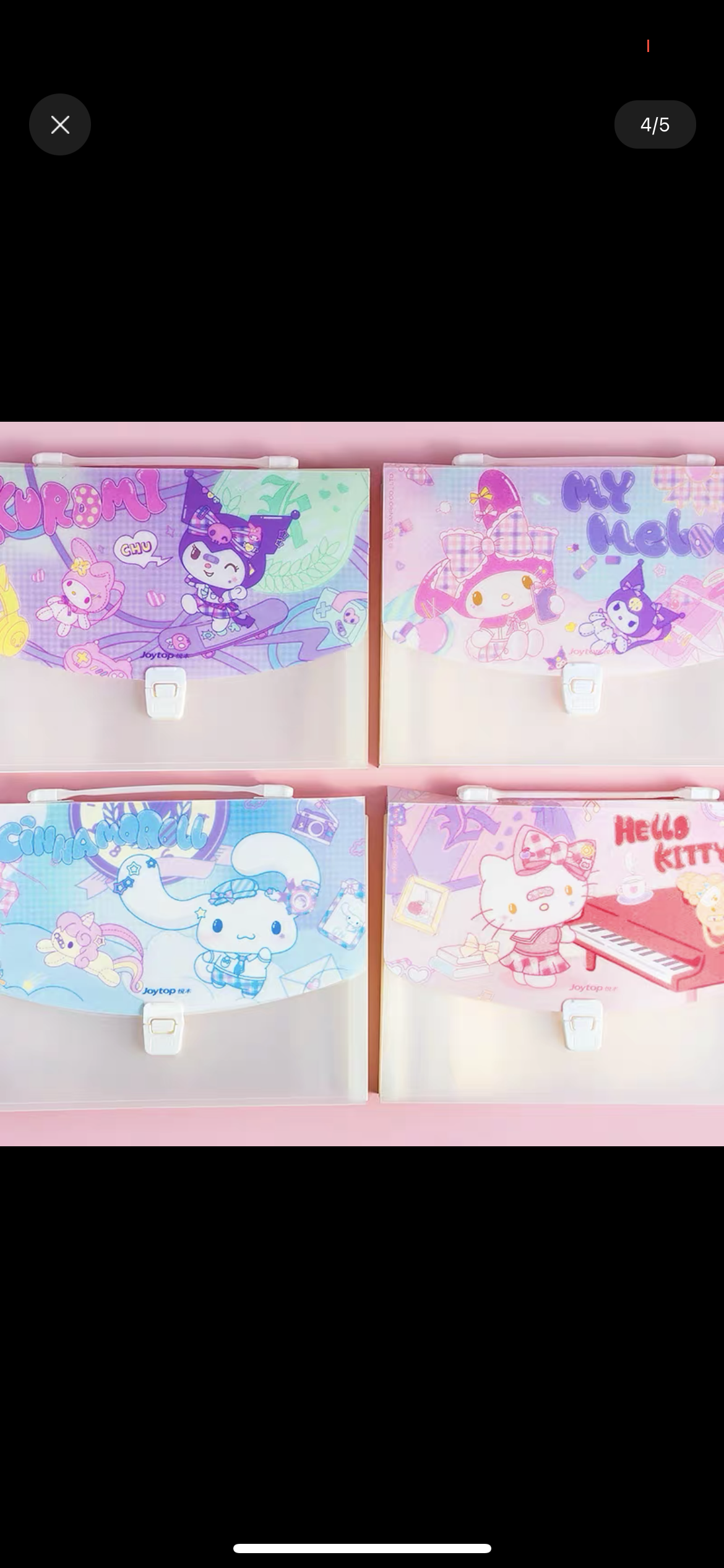 Sanrio file case