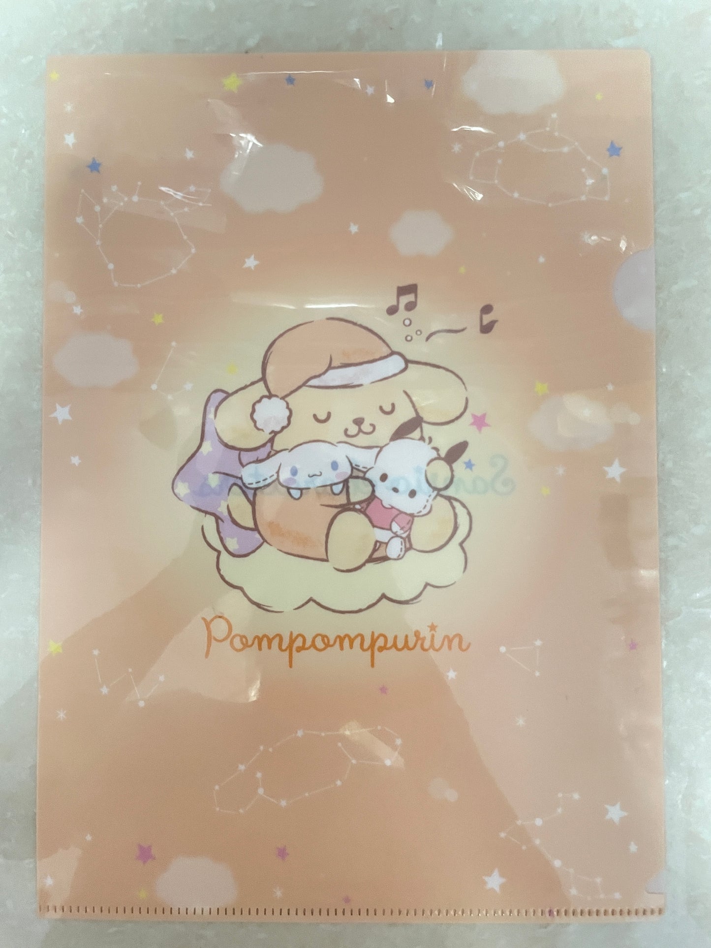 Pom Pochacco Cinnamoroll Sanrio Families file folder