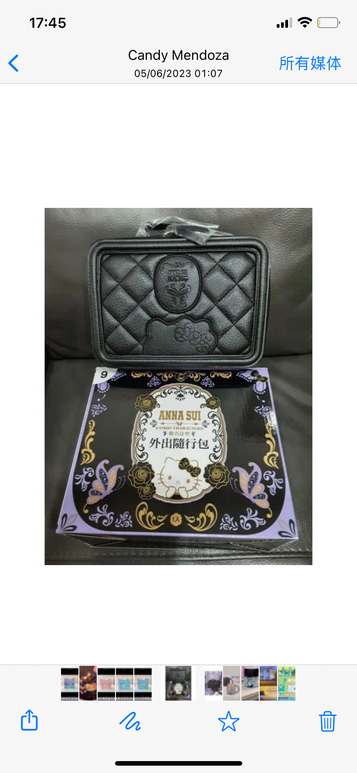 Anna Sui & Sanrio